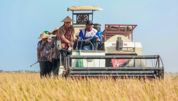 Tembus 6,69 Juta Ton! Jateng Kebut Target Lumbung Pangan Lewat Panen Raya Pemalang