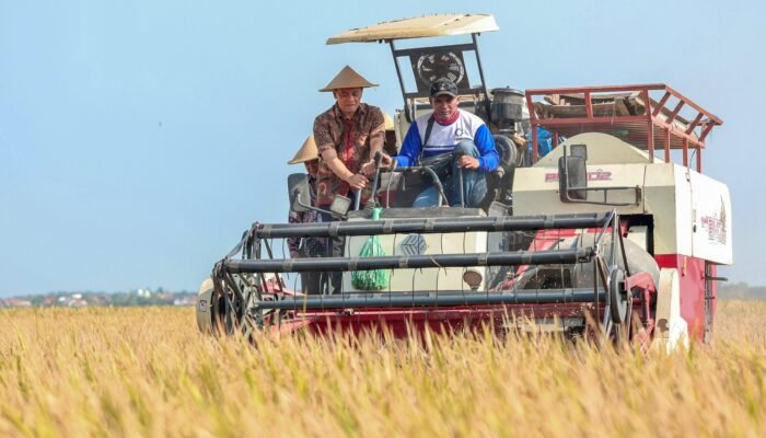 Petani Jateng Gagal Panen? Ahmad Luthfi Tegaskan “Haram” Lari ke Pinjol!