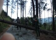 TNI-Polri beserta  Warga Sukses Gotong Royong  Padamkan Kebakaran di Lereng Hutan Pinus Petungkriyono