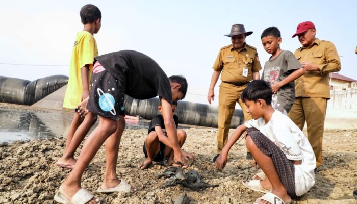 Atasi Bau Bangkai Ikan di Pati, Gubernur Jateng Turunkan Alat Berat