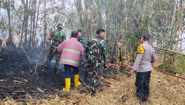 Sinergi Babinsa Dan Warga Bergerak Cepat Atasi Kebakaran Lahan Bambu di Mandiraja