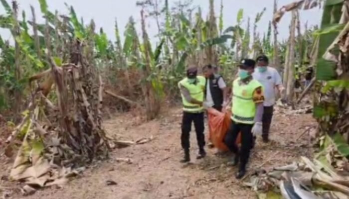 Hilang selama 3 Hari, Lansia di Pekalongan ditemukan Meninggal di Kebun.