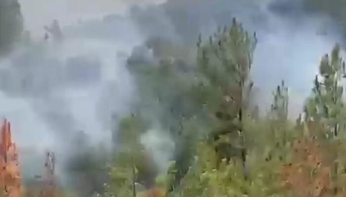 Kebakaran  Hutan Pinus di Ciung Putuskan  Jaringan Pipa PDAM, Suplai Air  Pelanggan Unit IKK Bantarkawung Terganggu