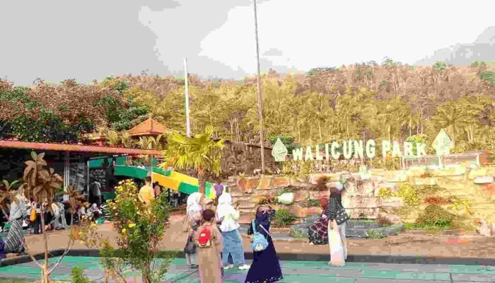 Rekomendasi Wisata Walicung Park Paguyangan yang Bikin Terpesona