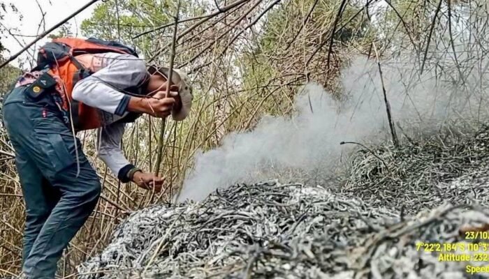 Cerita dari Lereng Sumbing: Berjibaku Jinakkan Api dengan Tangan Kosong