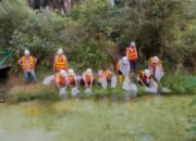 PTPN IV PalmCo, Subholding Perkebunan Nusantara, Tanam Pohon dan Tebar 10.000 Bibit Ikan untuk Perkuat Keanekaragaman Hayati