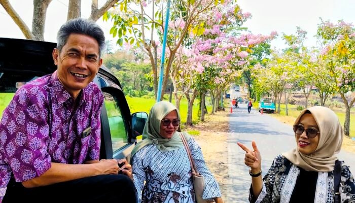 Desa Wanarata Punya “Sakura Sendiri”, Impian 2021 Kini Menjadi Keindahan yang Memikat Hati